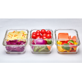 High borosilicate glass food storage container 2 compartment food container with lid lunch box